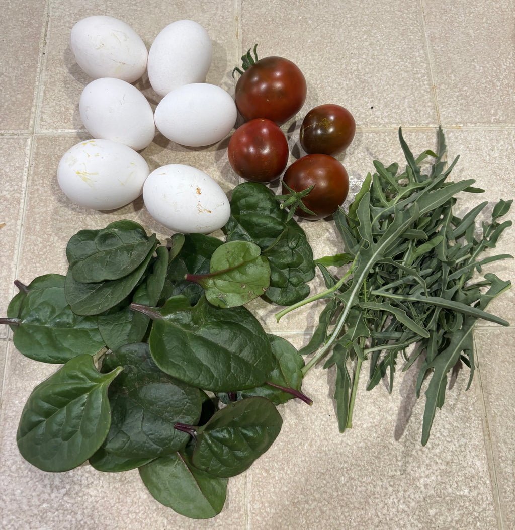 Isfahan Persian Heirloom Tomato