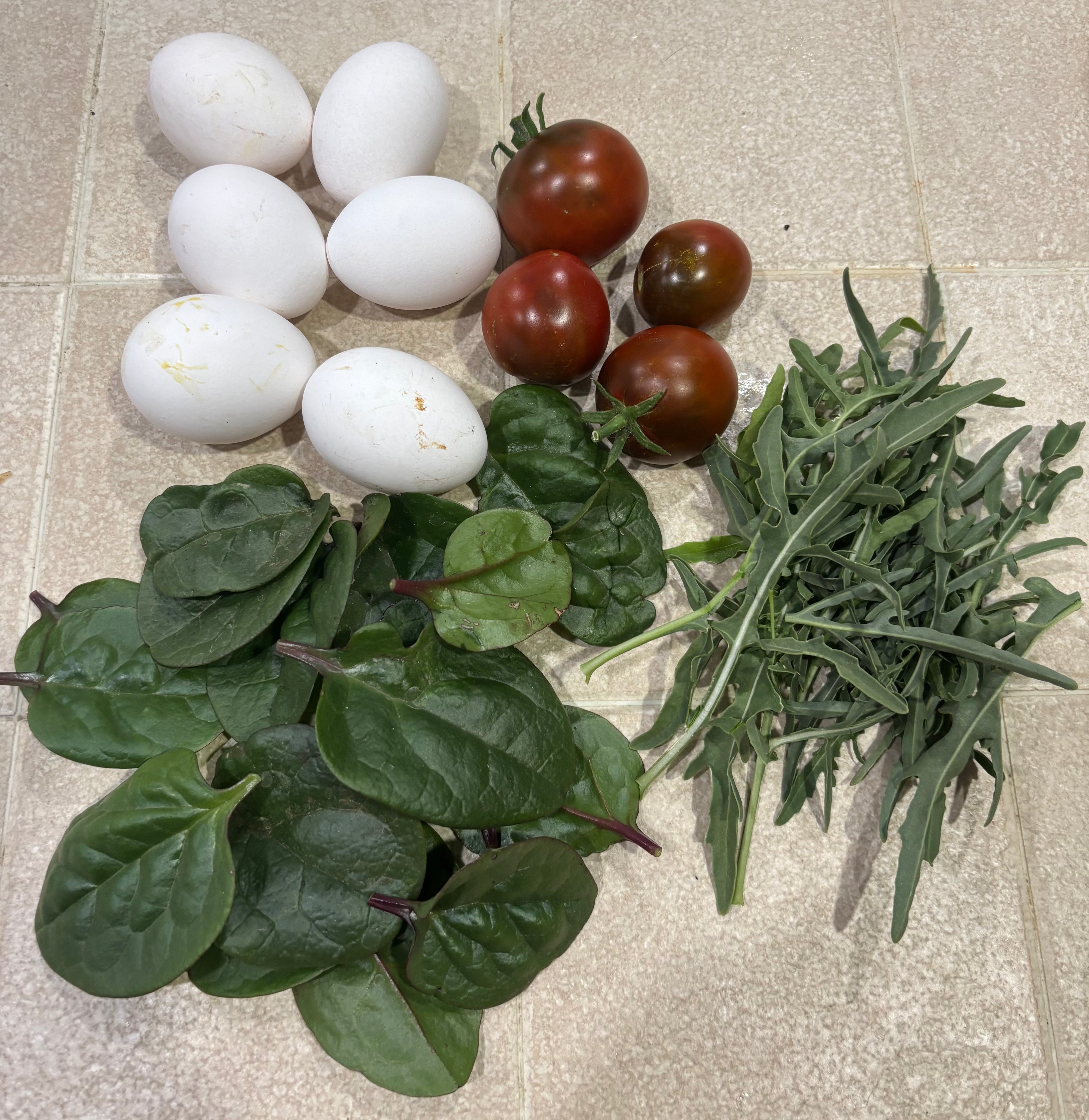 Isfahan Persian Heirloom Tomato