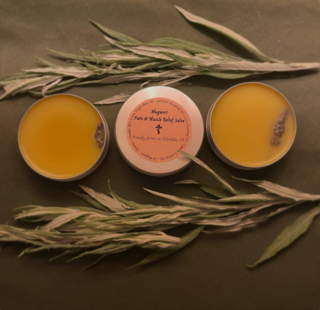 Mugwort Pain & Muscle Relief Salve
